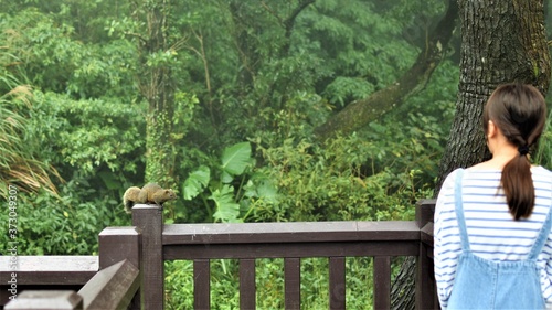 A squirrel stays motionless on a wooden railing in a park as a girl looks on warily