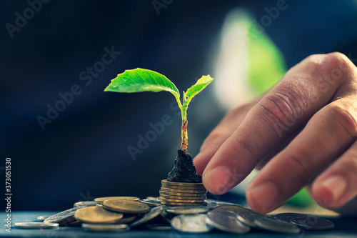 Return on investment concept and saving money for profit
Seedling on a blurred natural background photo