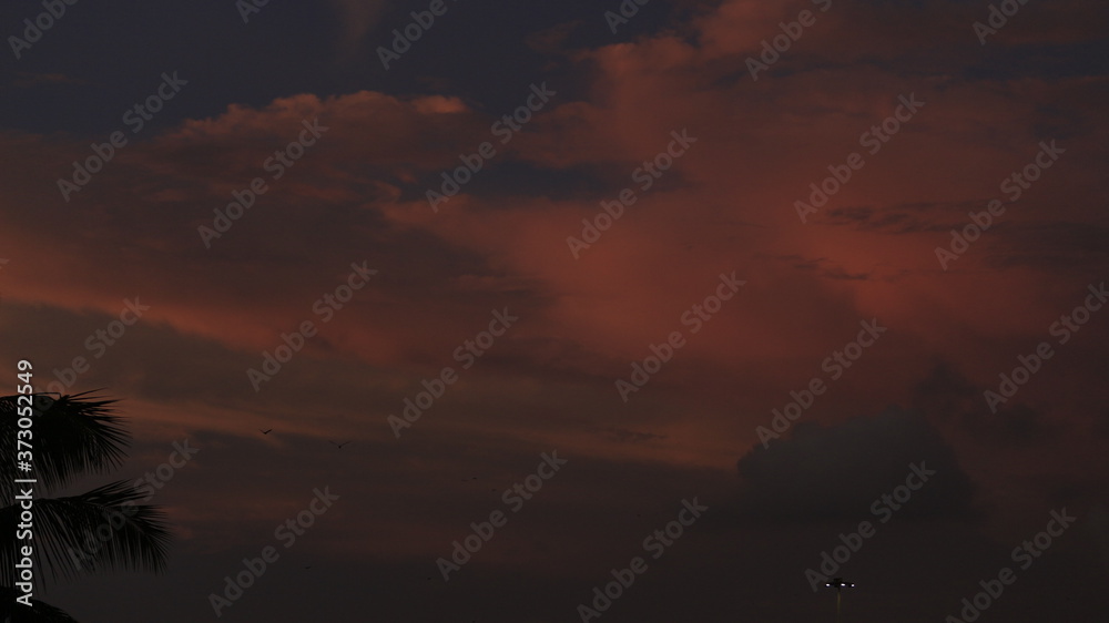 Fototapeta premium Beautiful Sunset