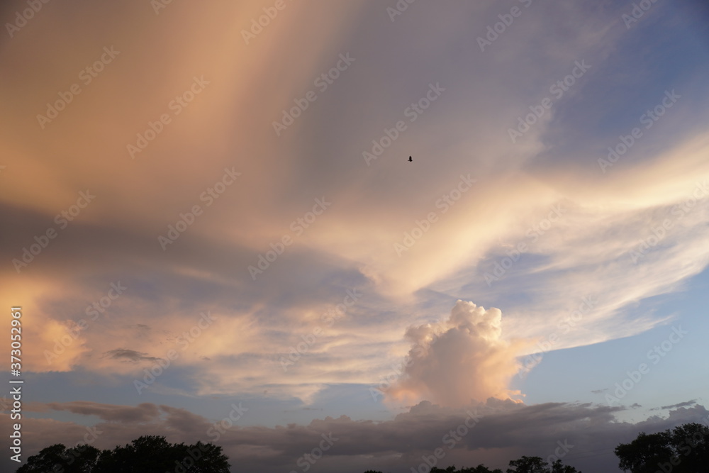 Fototapeta premium Soft Sky