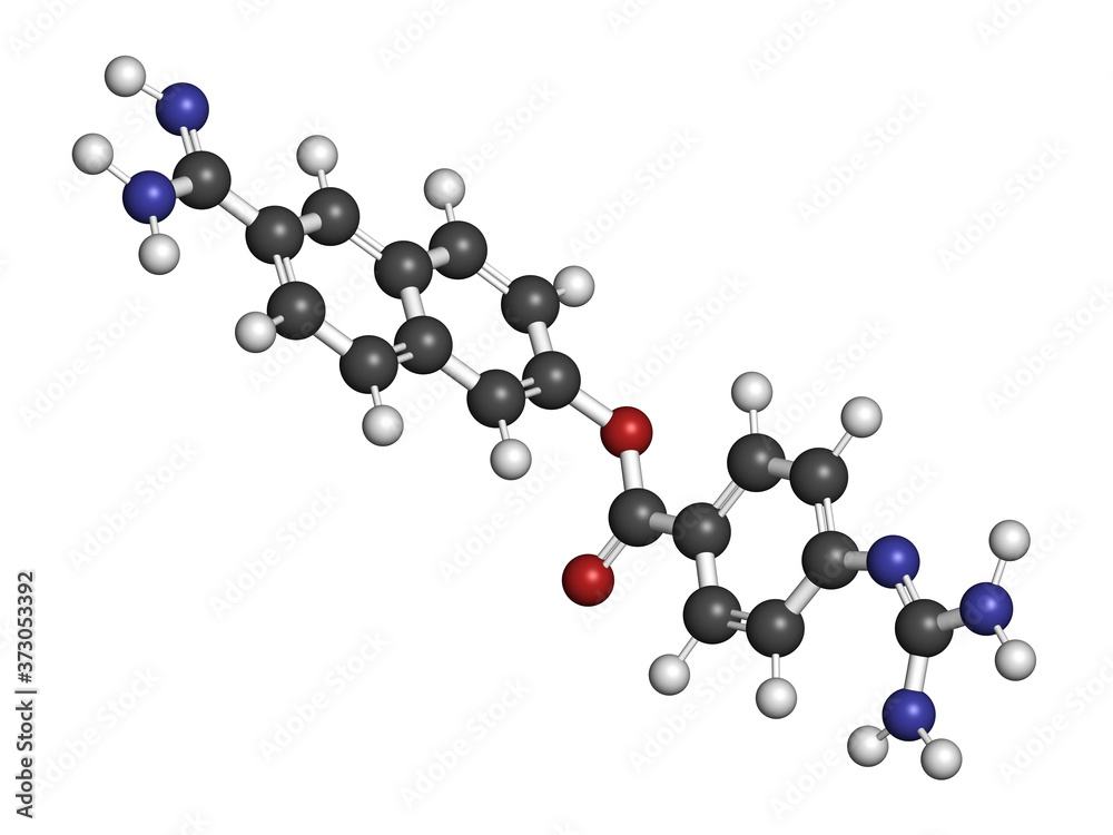 Nafamostat drug molecule (serine protease inhibitor). 3D rendering. Atoms are represented as spheres with conventional color coding: hydrogen (white), carbon (grey), nitrogen (blue), oxygen (red).