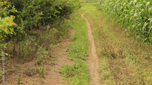 Village Road