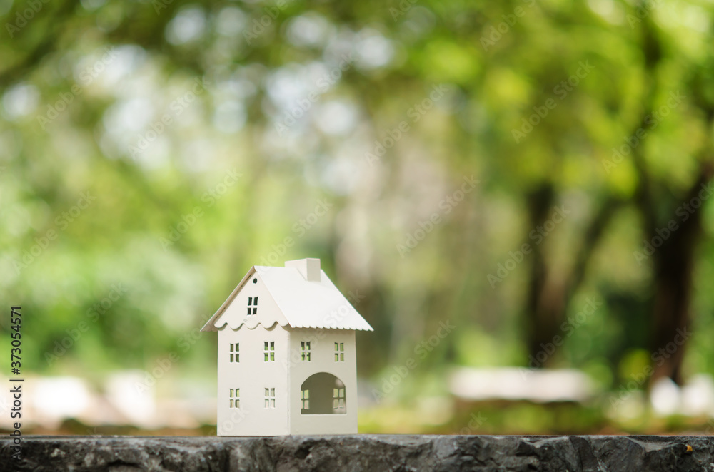 Wood home model capture on stone base in blur bokeh nature environment Wood home model capture on stone base in blur bokeh nature environment