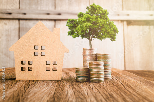 Wood home model on board with coin and tree growth on