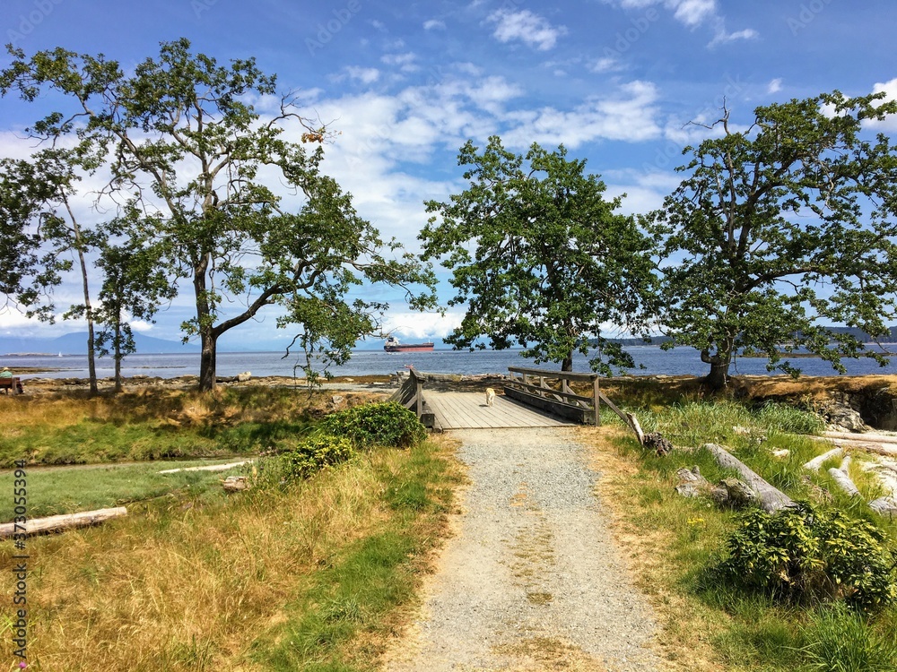A gravel walking path with a dog walking down with beautiful trees and the ocean in the background, and blue sky, on Newcastle Island, outside Nanaimo, British Columbia, Canada