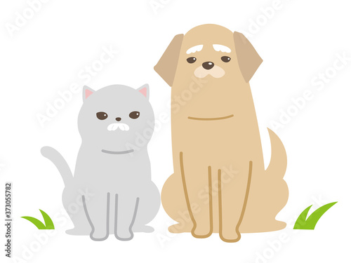 シニア猫と犬のベクターイラスト 