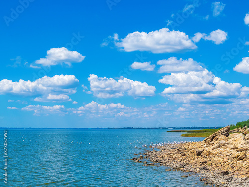 coastline of the sea with large stones  seagulls on the shore  beautiful cloudy sky on a sunny day