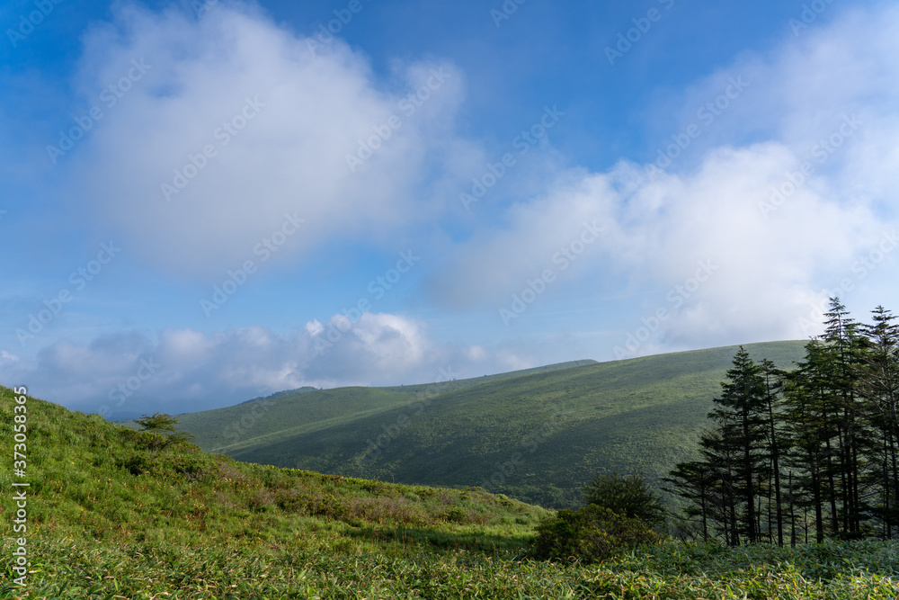 朝霧の車山高原 朝霧の車山高原