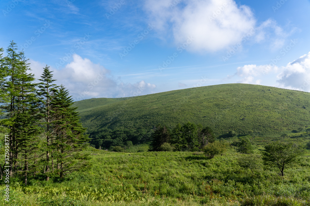Obraz premium 夏の車山高原