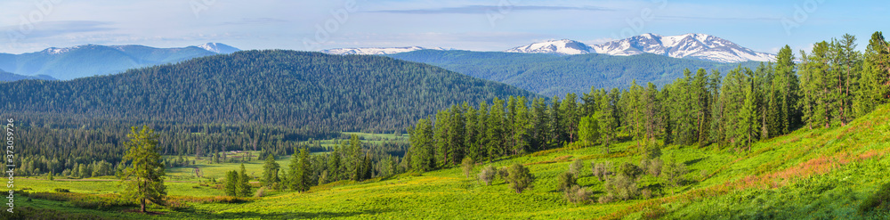 Wide panoramic view, the beginning of summer in the mountains. Green forests and meadows, snow-capped peaks and blue sky. Altay mountains.