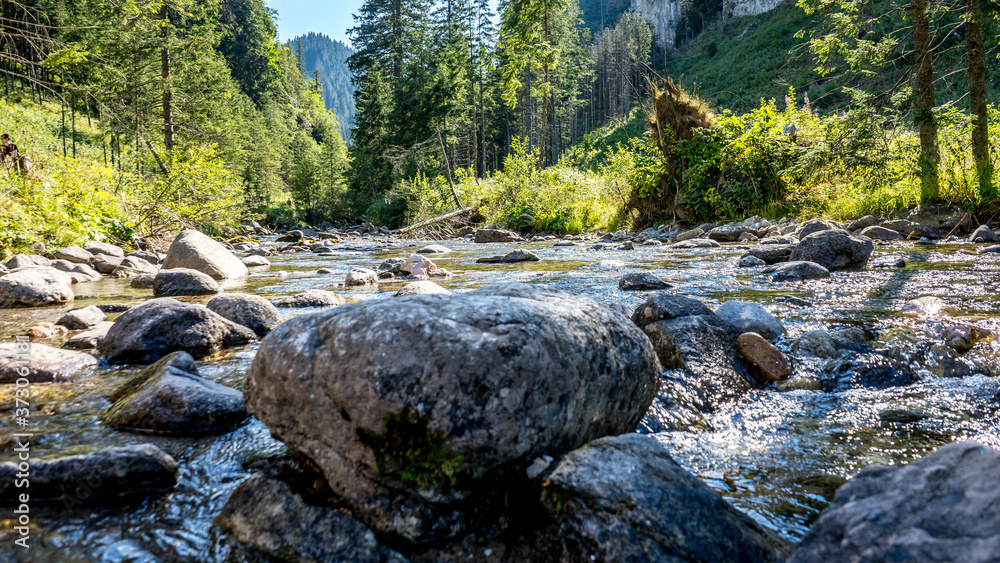 górski potok w Dolinie Chochołowskiej, Tatry Zachodnie, Polska górski potok w Dolinie Chochołowskiej, Tatry Zachodnie, Polska
