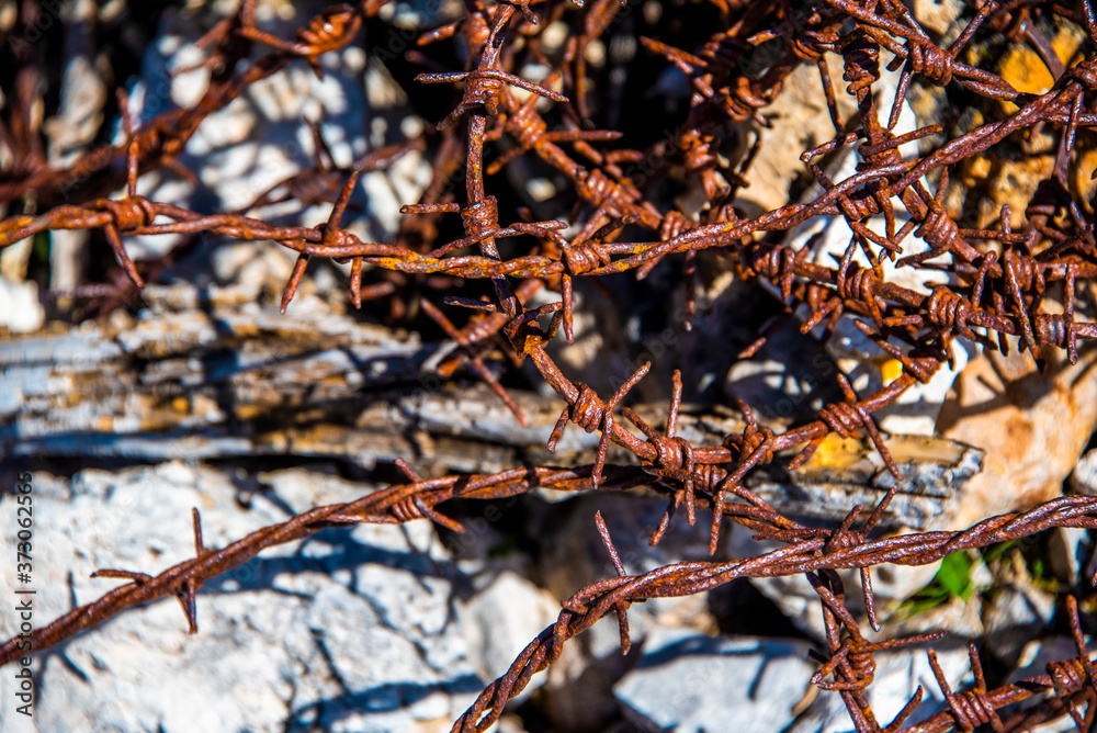 reticulated vestiges of human terror one reticulated vestiges of human terror one