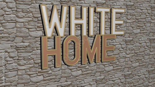 WHITE HOME text on textured wall, 3D illustration