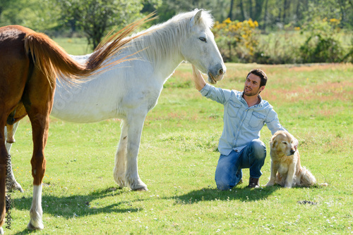 handsome young man walking with a horse and a dog