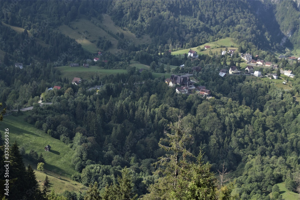 Part of Carpathian Mountain with Houses, Forest