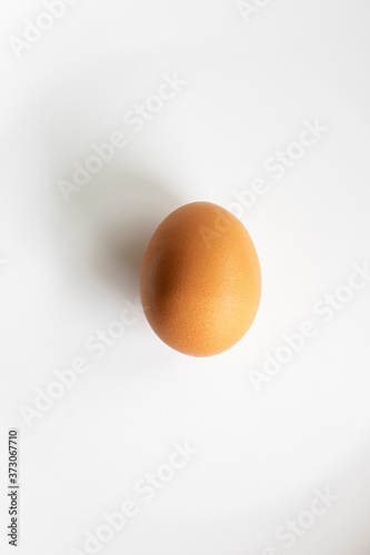 Egg in white background