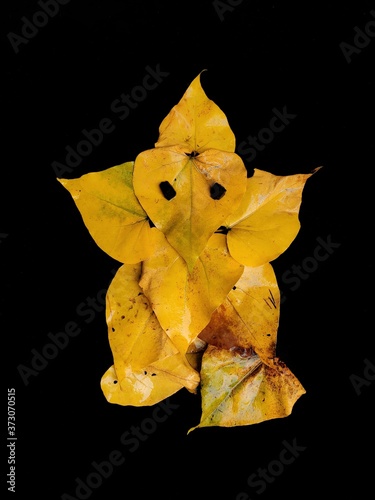 Lord ganesh creative image with yellow flowers on black background