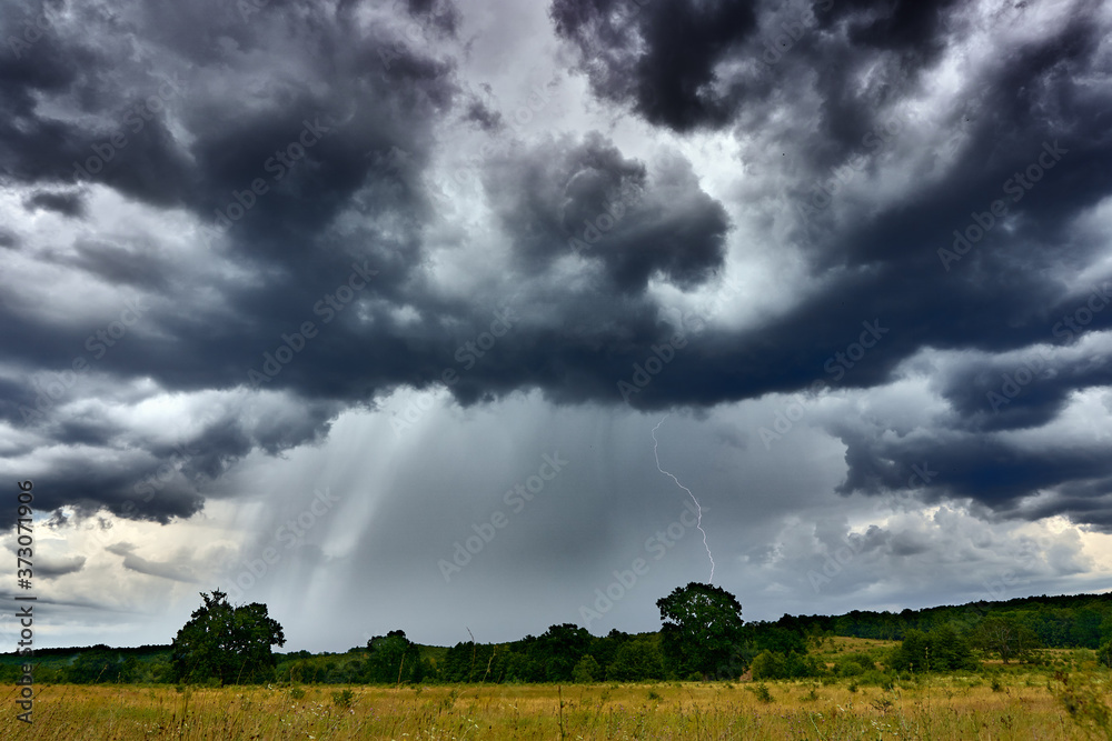 Storm in the forest Storm in the forest