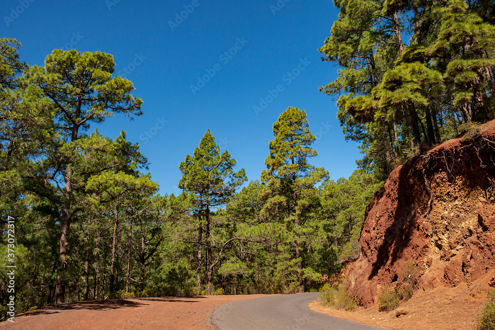 Mountain road in El Teide National Park. Tenerife Canary Islands. Mountain road in El Teide National Park. Tenerife Canary Islands.