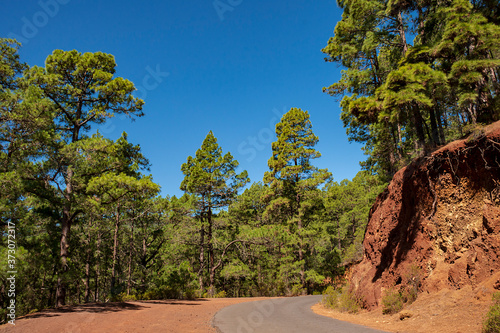 Mountain road in El Teide National Park. Tenerife Canary Islands.