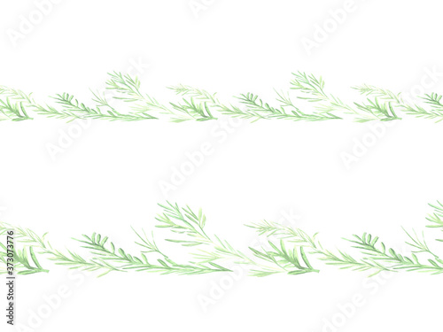 Rosemary pattern, border, frame. Watercolor hand drawn illustration, isolated on white background