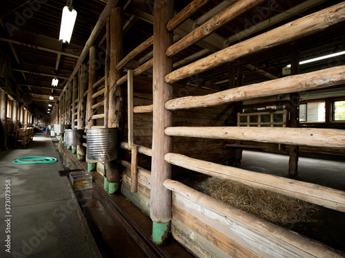 馬小屋