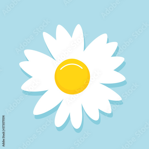 Daisy flower icon on blue background vector.