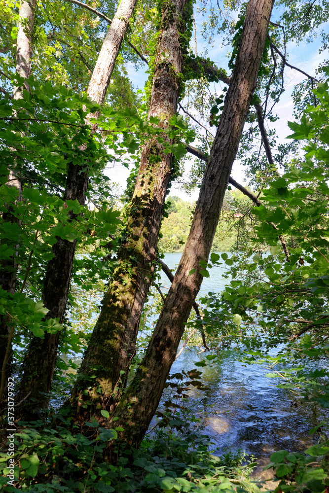 Fototapeta premium Seine river bank near Fontaine-le-Port village in Seine et Marne