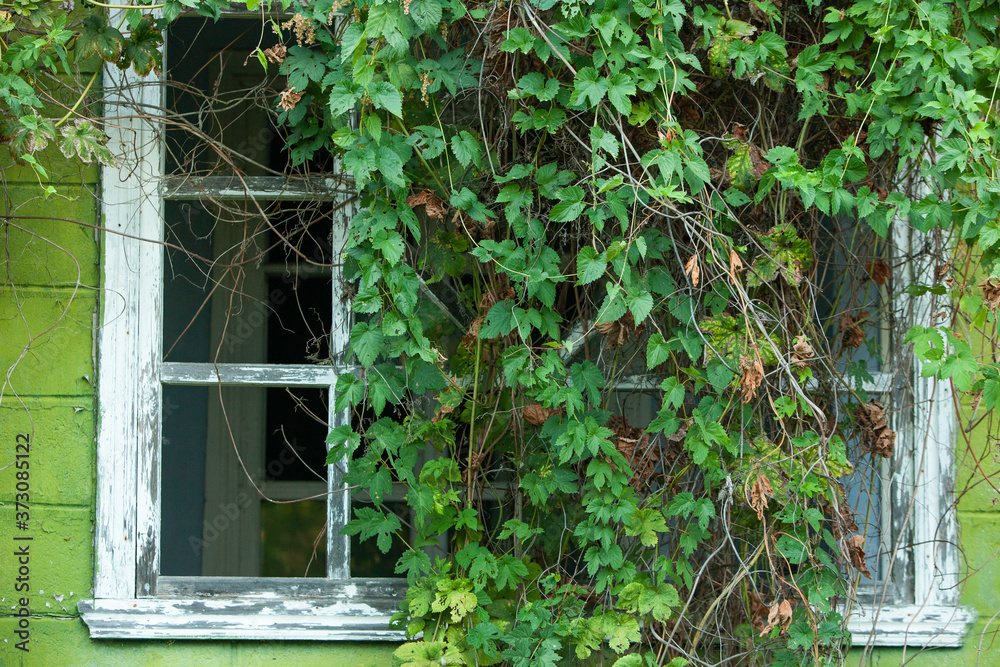 Facade of abandoned house. Old wooden door. Old wall with big vintage gates Facade of abandoned house. Old wooden door. Old wall with big vintage gates