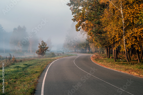 Misty autumn landscape. Asphalt road between autumn trees. Selective focus.