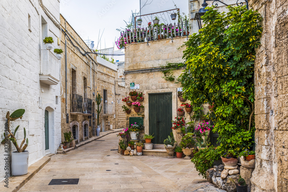 Obraz premium Ruelle fleurie dans la ville de Monopoli en Italie