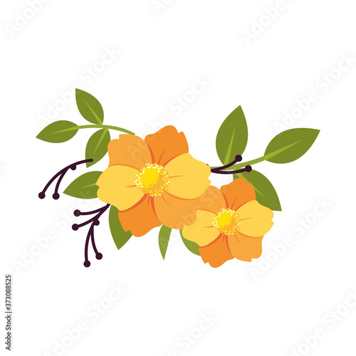 orange flowers with leaves vector design