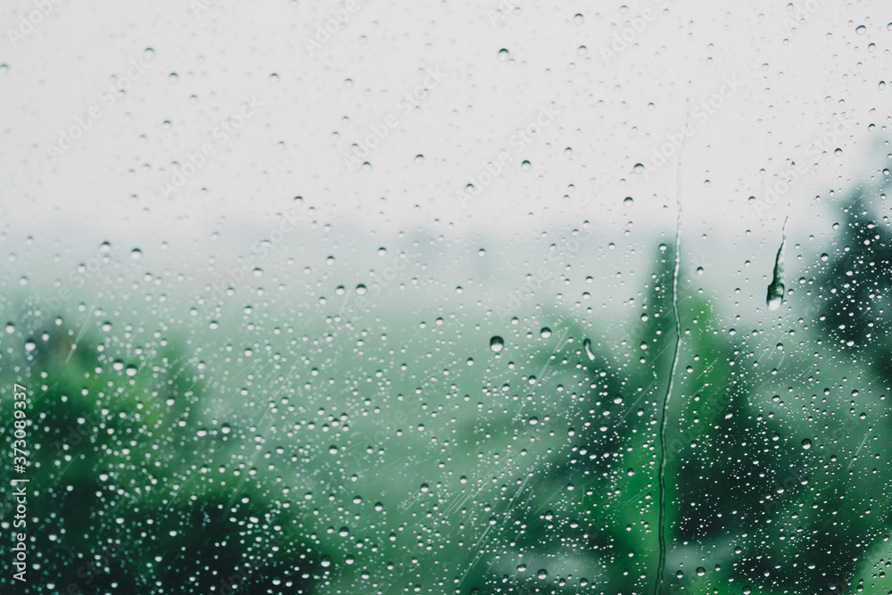 Obraz premium rain drops on window.