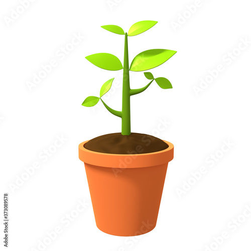 3d render green plant isolated on white background