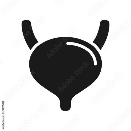 Bladder urine grey line icon vector