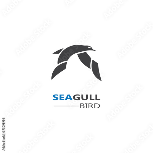 Seagull  Bird logo icon  vector designs