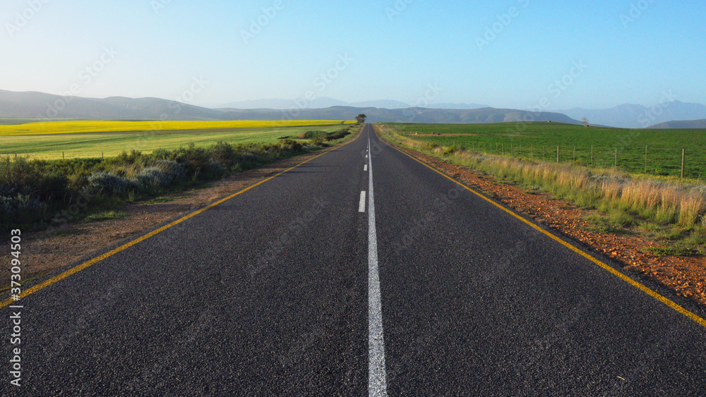 Country road in the Countryside