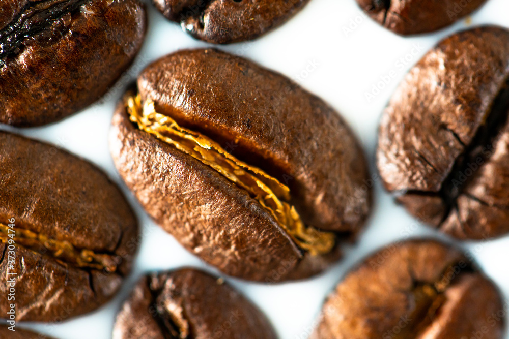 Roasted coffee beans on white milk background. Coffee beans in milk. Top view macro shot of arabica, robusta and iberica coffee seeds. Roasted coffee beans on white milk background. Coffee beans in milk. Top view macro shot of arabica, robusta and iberica coffee seeds.
