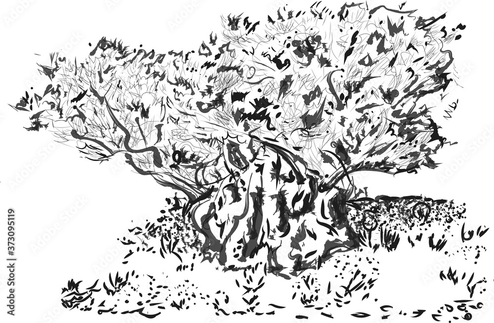 Old Tree ink sketch