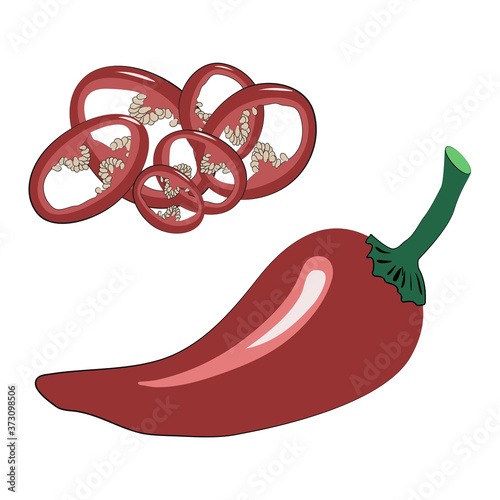 Set of red chili peppers - sliced into rings and a whole pod. Spicy seasoning for ramen noodles soup. Vector illustration in hand-drawn style on a white background
