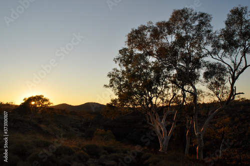 Dawn breaking over a semi-desert landscape © Samantha