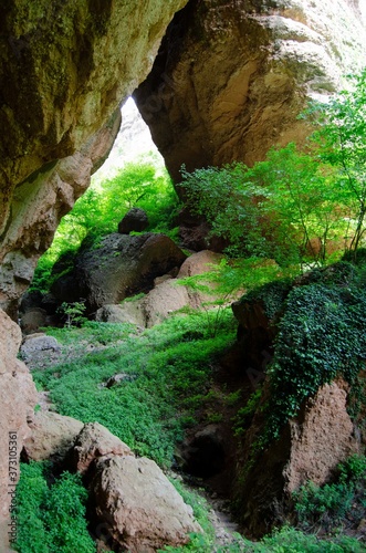 Cave in the nature in the rainforest with a rock  hole in the mountain in the woods