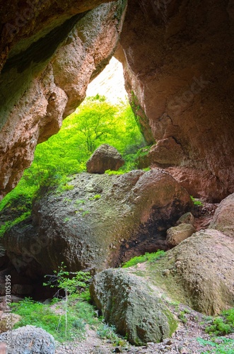 Cave in the nature in the rainforest with a rock, hole in the mountain in the woods