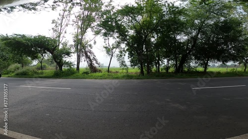 road in the woods
