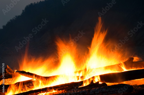 outdoor bonfire. Security breach. Destructive fire. The blazing flames of a fire in the forest.