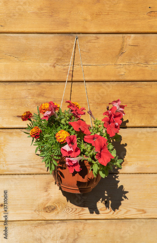 pot of bright red flowers hangs on a wooden wall.