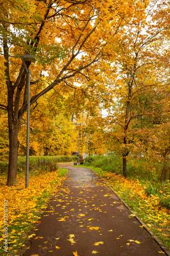 Colorful Autumn With Listopad In Park.