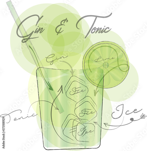 Gin & Tonic Vector on a white background