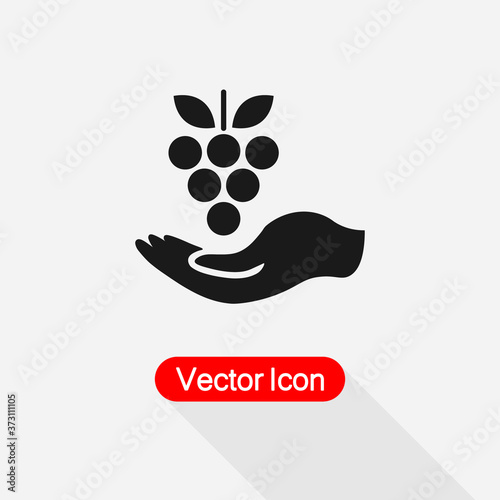 Grapes In The Hand Icon Vector Illustration Eps10