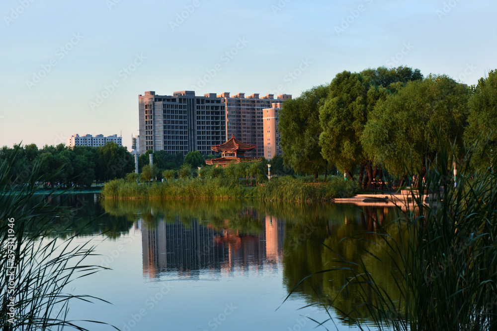 Beautiful city park skyline in the setting sun Beautiful city park skyline in the setting sun